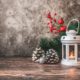 Božićni ukrasi: 5 biljaka koje vam mogu poslužiti