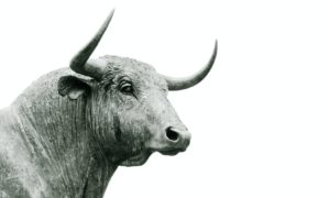 Bikovi – horoskopski znak nepredvidive osobnosti