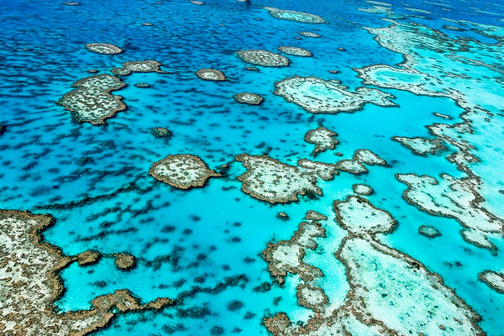 Veliki koraljni greben: 10 nevjerojatnih činjenica