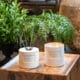 CRO Atelier Rebul – Mirisi